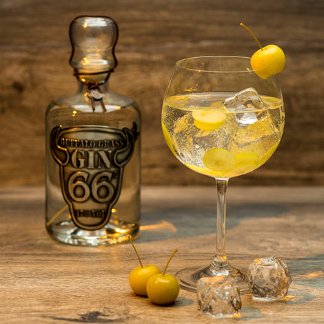 66 ® Gin